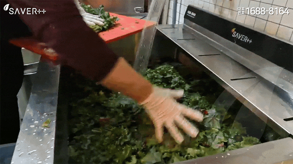 상추_GIF
